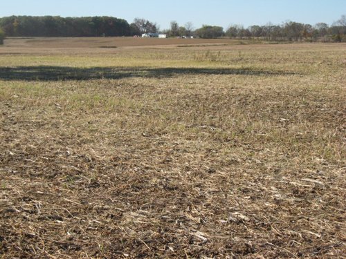 Property photo 41 - 110+/- Acres offered in 4 Tillable Tracts